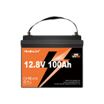 Yeagulch 12V 100Ah Mini  Max Deep Cycle Rechargeable LiFePO4 Battery 