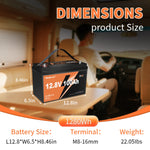 Yeagulch 12V 100Ah Deep Cycle Rechargeable LiFePO4 Battery