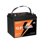 Yeagulch 12V 100Ah Mini  Max Deep Cycle Rechargeable LiFePO4 Battery for RV Camping Solar Off-Grid