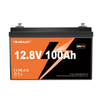 Yeagulch 12V 100Ah Deep Cycle Rechargeable LiFePO4 Battery for RV Camping Solar Off-Grid