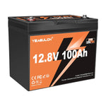 Yeagulch 12V 100Ah Mini Deep Cycle Rechargeable LiFePO4 Battery
