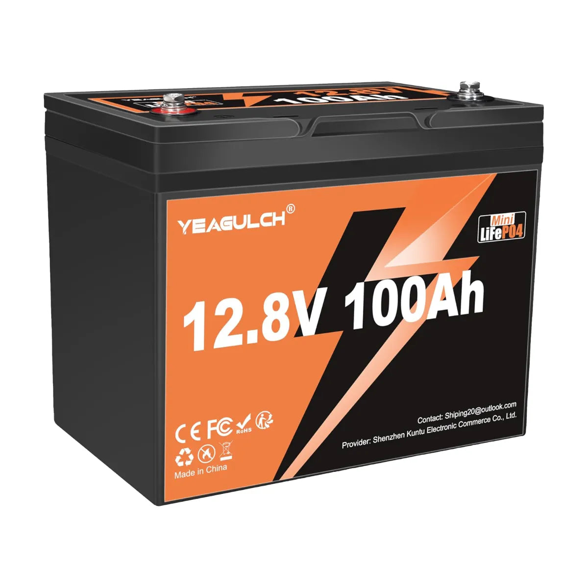 Yeagulch 12V 100Ah Mini Deep Cycle Rechargeable LiFePO4 Battery